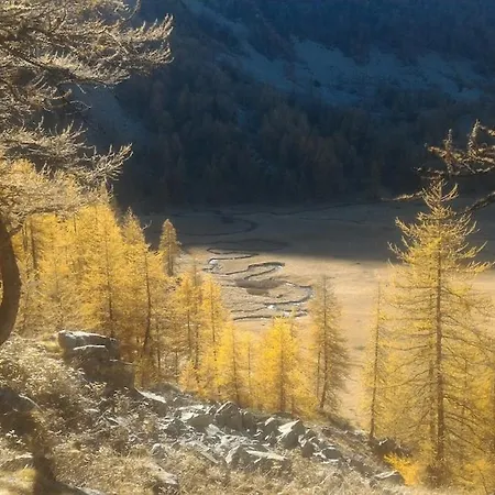 Duplex Foux D'allos 6p, Aux Pieds Du Telesiege *